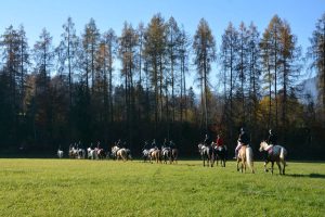 48. Unterinntaler Fuchsjagd am 8.11.2025. Foto: Veronika Spielbichler