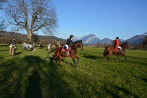 48. Unterinntaler Fuchsjagd am 8.11.2025. Foto: Veronika Spielbichler