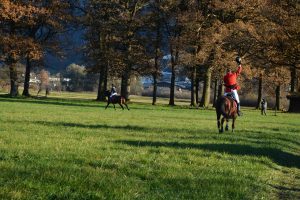 48. Unterinntaler Fuchsjagd am 8.11.2025. Foto: Veronika Spielbichler