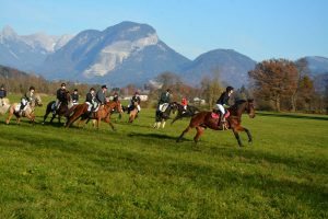 48. Unterinntaler Fuchsjagd am 8.11.2025. Foto: Veronika Spielbichler