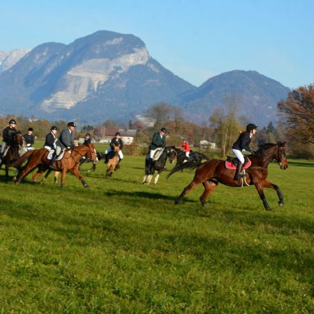 48. Unterinntaler Fuchsjagd am 8.11.2025. Foto: Veronika Spielbichler