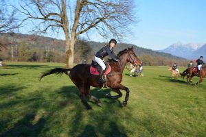 48. Unterinntaler Fuchsjagd am 8.11.2025. Foto: Veronika Spielbichler