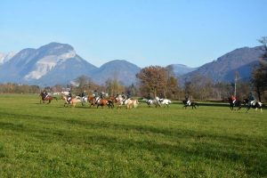 48. Unterinntaler Fuchsjagd am 8.11.2025. Foto: Veronika Spielbichler