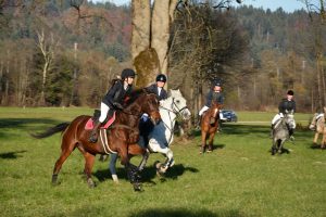 48. Unterinntaler Fuchsjagd am 8.11.2025. Foto: Veronika Spielbichler