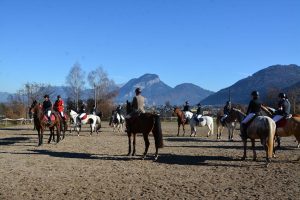 48. Unterinntaler Fuchsjagd am 8.11.2025. Foto: Veronika Spielbichler