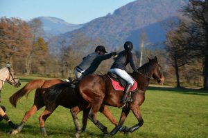 48. Unterinntaler Fuchsjagd am 8.11.2025. Foto: Veronika Spielbichler