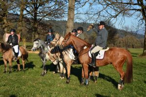 48. Unterinntaler Fuchsjagd am 8.11.2025. Foto: Veronika Spielbichler