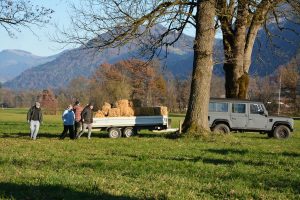 48. Unterinntaler Fuchsjagd am 8.11.2025. Foto: Veronika Spielbichler