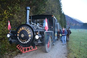 48. Unterinntaler Fuchsjagd am 8.11.2025. Foto: Veronika Spielbichler