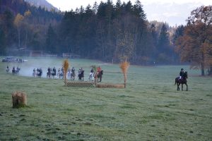 48. Unterinntaler Fuchsjagd am 8.11.2025. Foto: Veronika Spielbichler