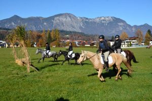 48. Unterinntaler Fuchsjagd am 8.11.2025. Foto: Veronika Spielbichler