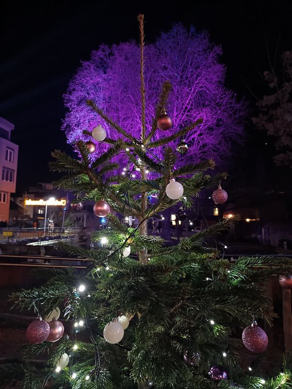 Wörgler Christkindlmarkt Dezember 2025. Foto: Veronika Spielbichler