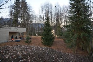 Lokalaugenschein beim neuen Zwergenwald-Kindergarten an der Hagleitner Straße am 10.12.2025. Foto: Veronika Spielbichler