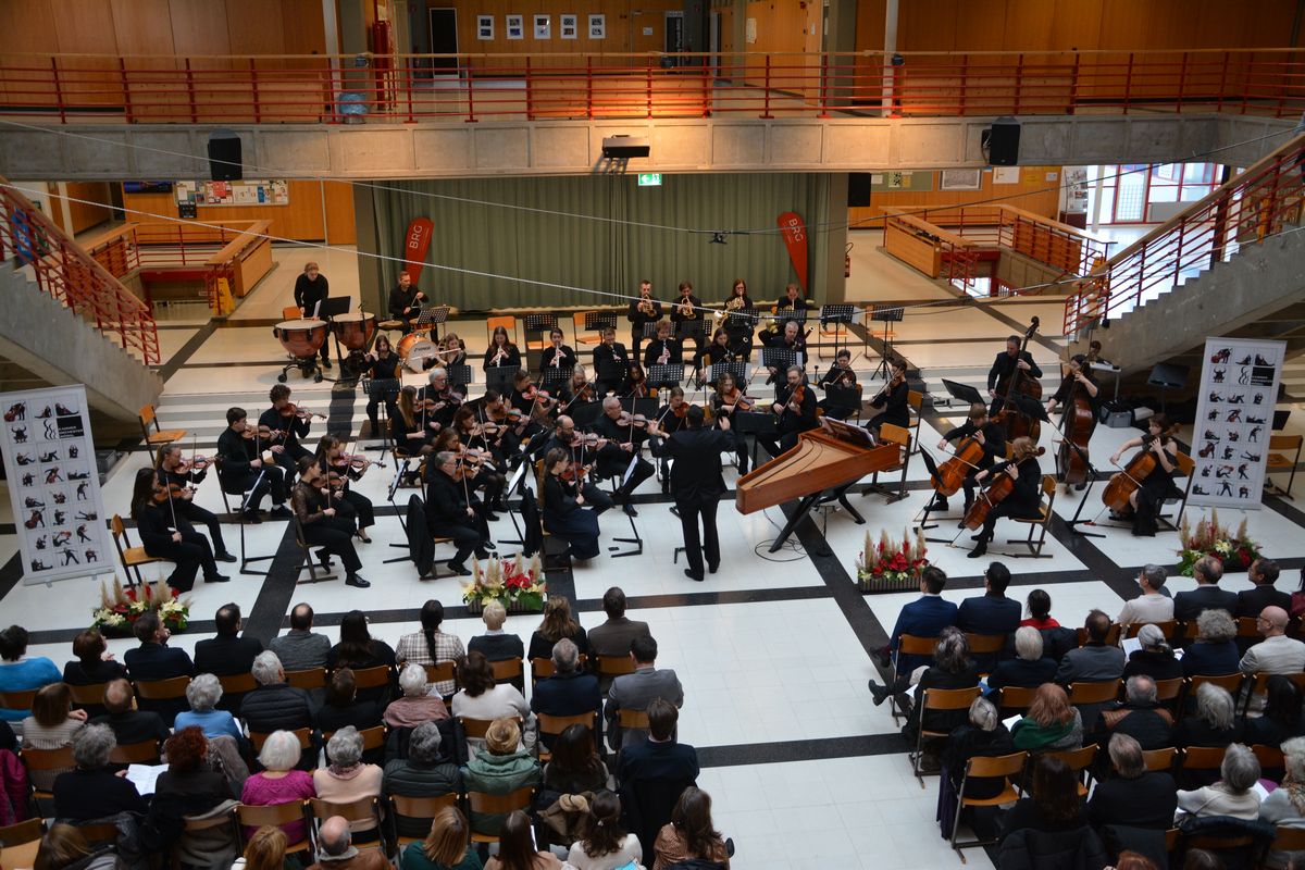Neujahrskonzert des Kammerorchesters Wörgl am 11.1.2026. Foto: Veronika Spielbichler