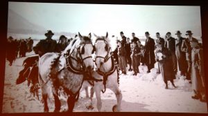 Museumshoagascht 125 Jahre Trabrennverein am 4.2.2026 im Theatron im Komma Wörgl. Foto: Veronika Spielbichler